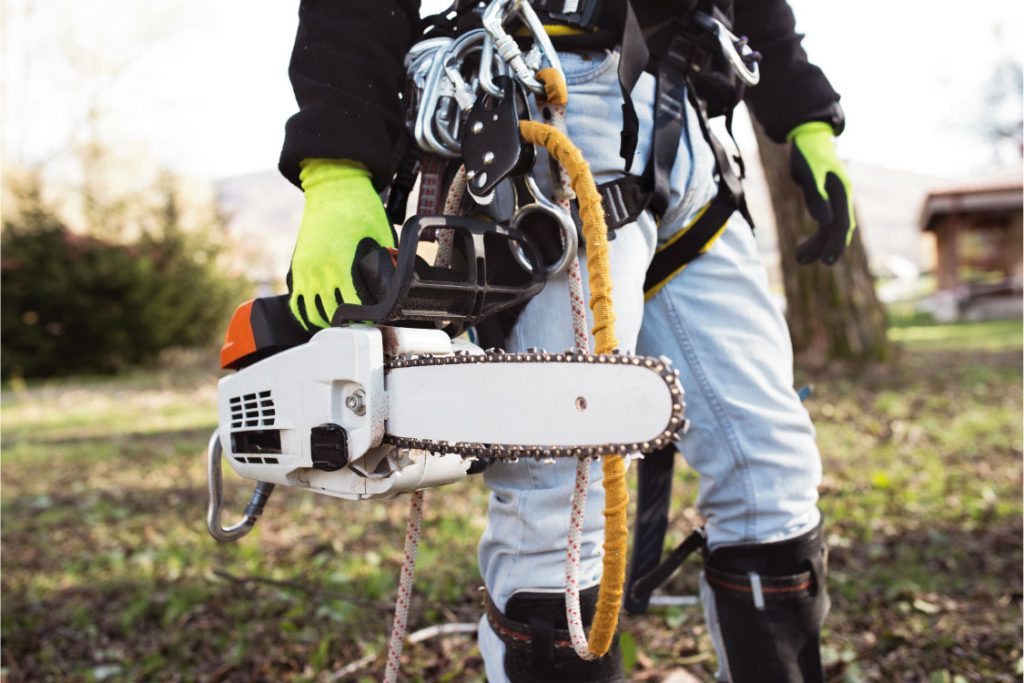 uk-home-improvement-Importance-of-Using-a-Tree-Surgeon-and-How-to-Find-the-Best-One