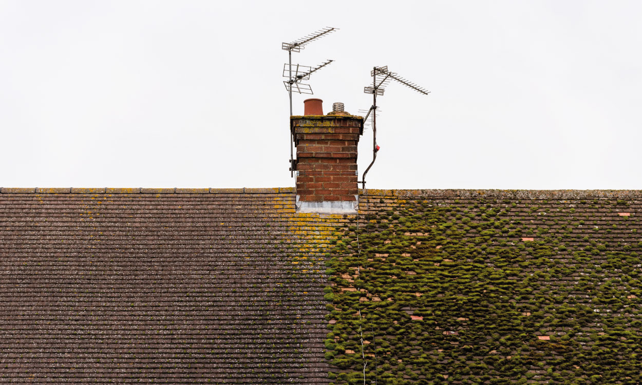 How-Much-Does-It-Cost-To-Clean-a-Roof